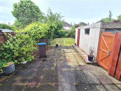 Picture 11
